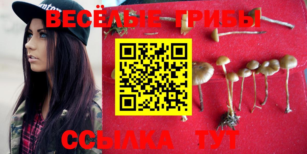 Городец  Галлюциногенные грибы Psilocybine cubensis  Вход с VPN 